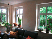 Weichfaserputz mit Lasur in Sande